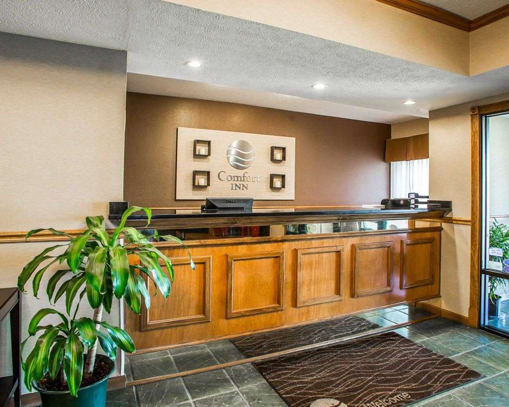 فندق كواليتي إن جرينفيل نورث Greenville المظهر الداخلي الصورة